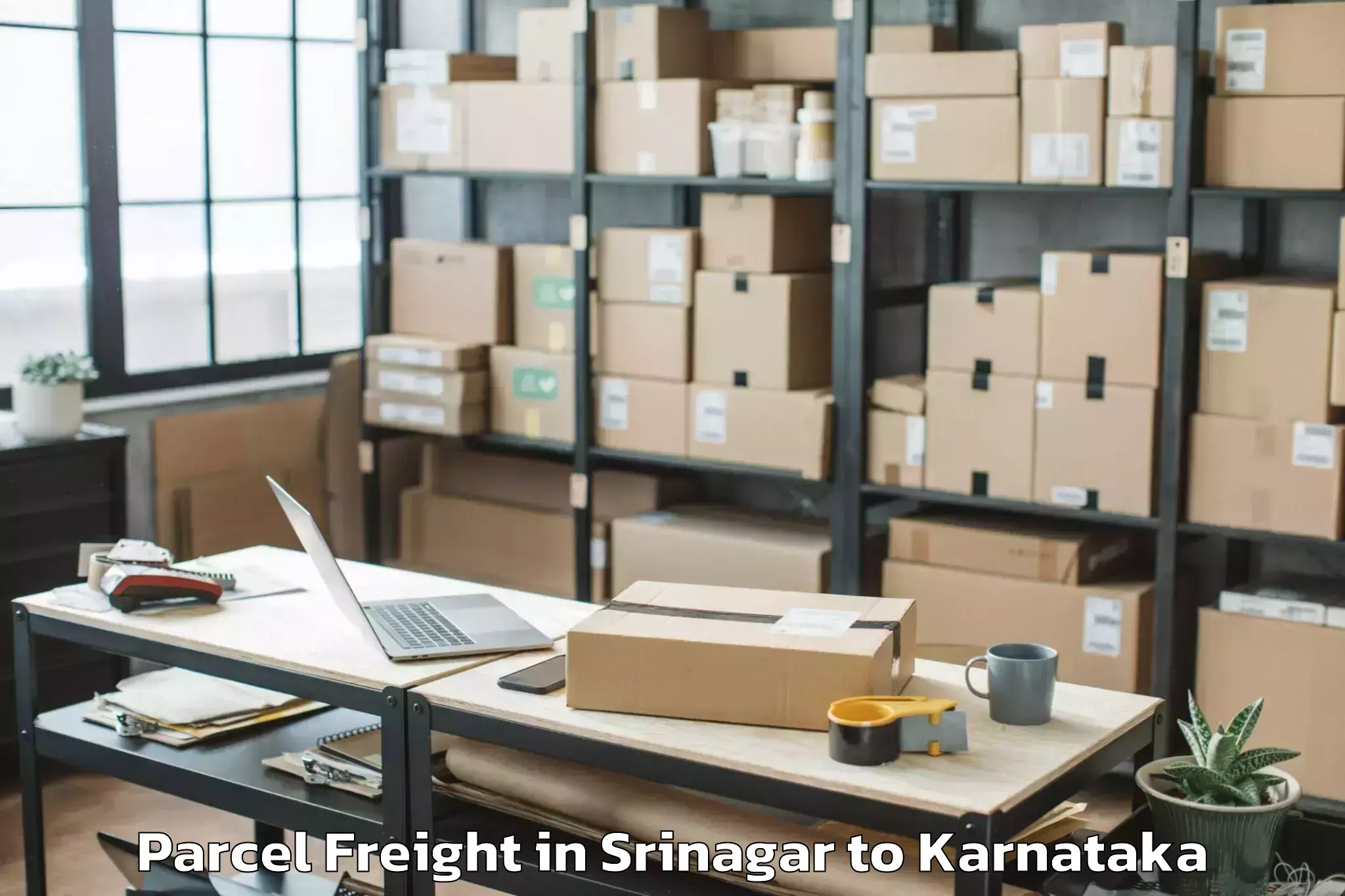 Expert Srinagar to Munirabad Rural Parcel Freight